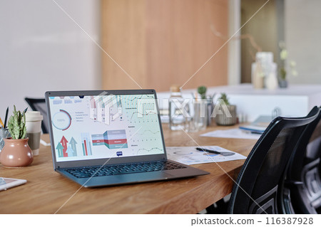 Medium close up of black laptop demonstrating analytical presentation, wooden table full of office supply and clay pots with green cactuses Medium close up of black laptop demonstrating analytical presentation, wooden table full of office supply and clay pots with green cactuses 116387928