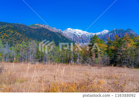 [Autumn material] Autumn Kamikochi, Tashiro Wetland and Tashiro Pond [Nagano Prefecture] 116388092