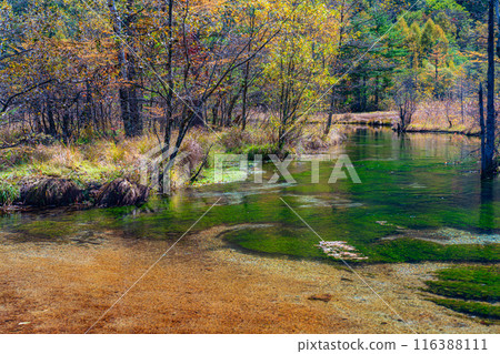 [Autumn material] Autumn Kamikochi, Tashiro Wetland and Tashiro Pond [Nagano Prefecture] 116388111