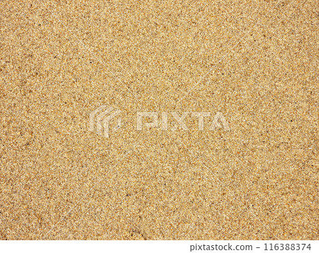 Textures - background, ground, sand Textures - background, ground, sand 116388374