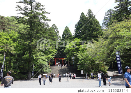Kagoshima Kirishima Shrine Kagoshima Kirishima Shrine 116388544