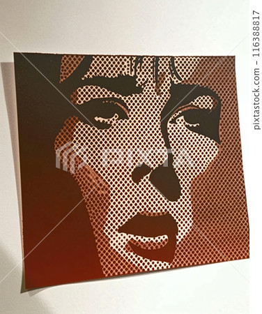 Woman looking serious in red and black halftone pattern Woman looking serious in red and black halftone pattern 116388817