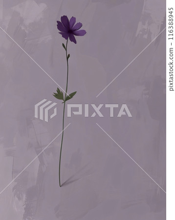 Single purple flower growing on pastel purple background 116388945