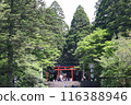 鹿兒島霧島神社 116388946