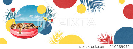 Beautiful purebred dog lying on red floating ring, resting, sunbathing by the sea against abstract colorful background. Contemporary art collage. 116389055