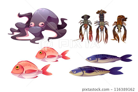 Seafood set isolated on white background 116389162