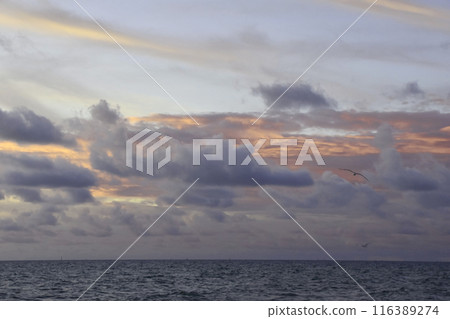 Sunset Sky Over The Sea, Beautiful Cloudscape, Dramatic Landscape, Seascape Sunset Sky Over The Sea, Beautiful Cloudscape, Dramatic Landscape, Seascape 116389274