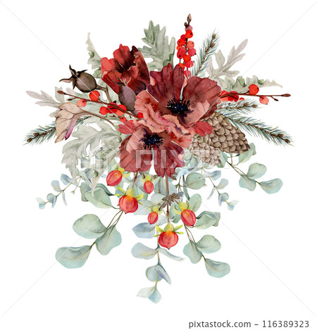 Poppy anemone flower, spruce fir tree branches cones, berries eucalyptus. Watercolor hand drawn illustration isolated on white. Xmas, happy new year festive, noel navidad holiday. For cards, gifts. Poppy anemone flower, spruce fir tree branches cones, berries eucalyptus. Watercolor hand drawn illustration isolated on white. Xmas, happy new year festive, noel navidad holiday. For cards, gifts. 116389323