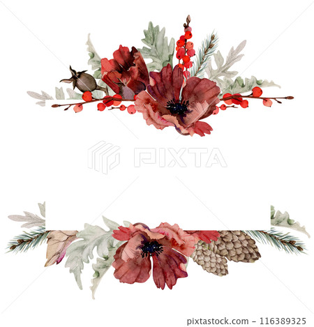 Poppy anemone flower, spruce fir tree branches cones, berries. Watercolor hand drawn illustration, border frame isolated on white. Xmas, happy new year festive, noel navidad holiday. For cards, gifts. Poppy anemone flower, spruce fir tree branches cones, berries. Watercolor hand drawn illustration, border frame isolated on white. Xmas, happy new year festive, noel navidad holiday. For cards, gifts. 116389325