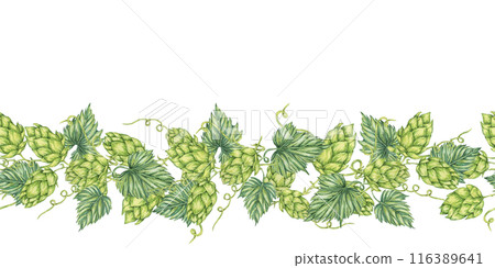 Hops and leaves seamless border in watercolor. Green humulus lupulus repeating pattern banner for Oktoberfest, St Patricks day, beer labels, brewery art. Hop cones clipart for festival, flyers Hops and leaves seamless border in watercolor. Green humulus lupulus repeating pattern banner for Oktoberfest, St Patricks day, beer labels, brewery art. Hop cones clipart for festival, flyers 116389641