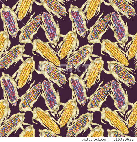 Yellow and indian corn dense seamless pattern, rainbow maize textile, background. Watercolor botanical print design for clothes, wallpaper, wrapping paper, scrapbooking, food packaging, Thanksgiving Yellow and indian corn dense seamless pattern, rainbow maize textile, background. Watercolor botanical print design for clothes, wallpaper, wrapping paper, scrapbooking, food packaging, Thanksgiving 116389652