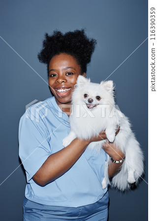 Vertical medium shot portrait of African American female vet expert in scrubs holding white puppy close smiling while looking at camera isolated on blue background in studio, camera flash Vertical medium shot portrait of African American female vet expert in scrubs holding white puppy close smiling while looking at camera isolated on blue background in studio, camera flash 116390359