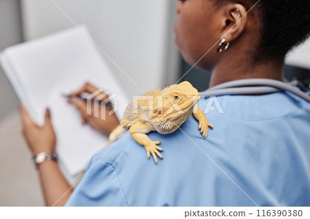 Shot of obedient bearded dragon lizard sitting on shoulder of female African American veterinarian writing down health checkup positive results in clinic, copy space Shot of obedient bearded dragon lizard sitting on shoulder of female African American veterinarian writing down health checkup positive results in clinic, copy space 116390380