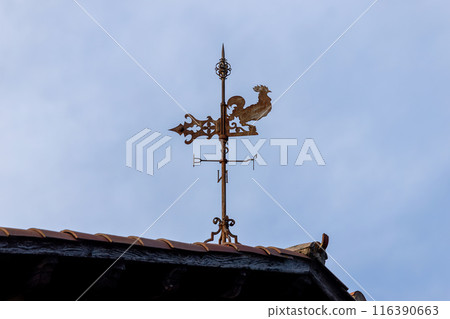 Nice weathercock, weather vane, wind vane on the roof 116390663