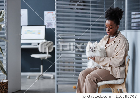 Wide angle shot of curly African American woman with white pomeranian dog on hands sitting in vet clinic waiting area, copy space 116390708