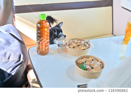 Camping car trip, meals, chicken rice, bento, local gourmet 116390862