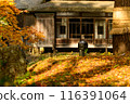 秋天的落葉中的老建築 116391064