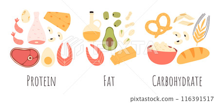Set of healthy macronutrients. proteins, fats and carbs or carbohydrates presented by food products. Flat vector illustration of nutrition categories isolated on white background Set of healthy macronutrients. proteins, fats and carbs or carbohydrates presented by food products. Flat vector illustration of nutrition categories isolated on white background 116391517
