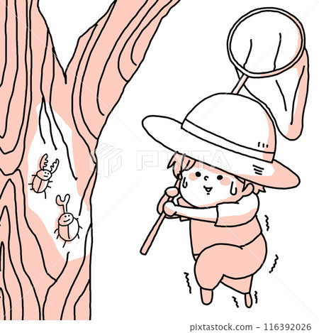A child wearing a straw hat is trying to catch rhinoceros beetles and stag beetles from a tree A child wearing a straw hat is trying to catch rhinoceros beetles and stag beetles from a tree 116392026