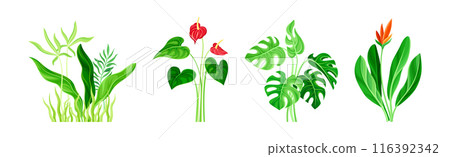 Lush Flora and Flower as Tropical Landscape Element Vector Set Lush Flora and Flower as Tropical Landscape Element Vector Set 116392342