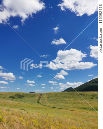 Summer landscape Summer landscape 116392518