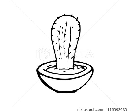 Small cactus in a pot.  Hand-drawn Houseplant. Doodle illustration isolated on white background. 116392683