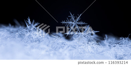 snapshot of a small snowflake taken during a snowfall snapshot of a small snowflake taken during a snowfall 116393214