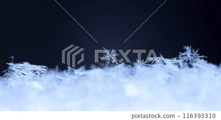 snowflake, little snowflake on the snow 116393310