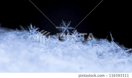 snowflake, little snowflake on the snow 116393311
