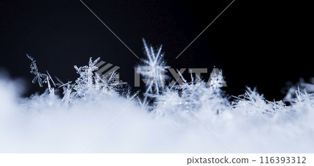 snowflake, little snowflake on the snow 116393312