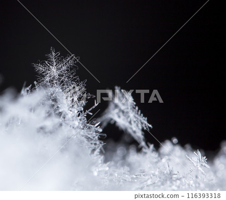 snowflake, little snowflake on the snow 116393318