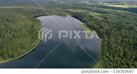 Aerial view of river with forest 116393697