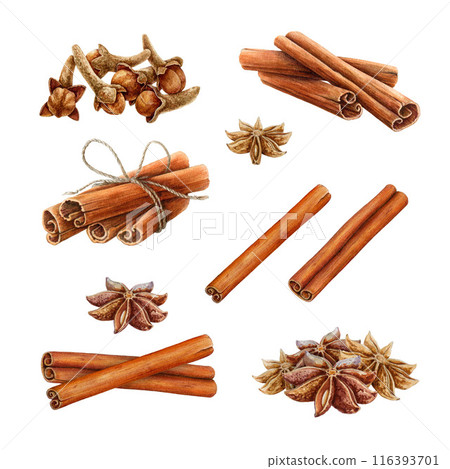 Cinnamon, star anise, clove spices watercolor illustration set. Hand drawn aromatic dry spices for mulled wine collection. Healthy organic dry herb elements for cooking isolated on white background 116393701