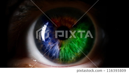 Red green blue human eye close up background 116393809