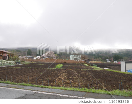 戶隱風景 116393826