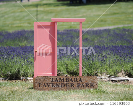 任意門（丹原薰衣草公園） 116393903