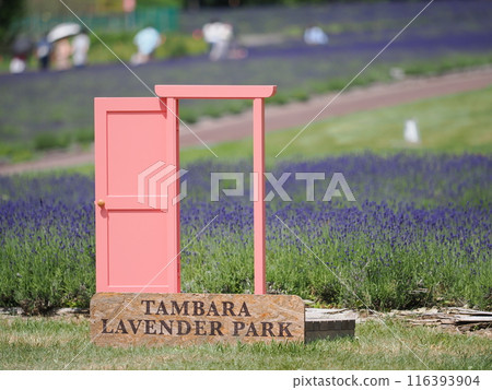 任意門（丹原薰衣草公園） 116393904