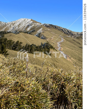 Hehuan Mountain, Alpine Trail, Frost, Alpine, Taiwan, Hehuan Mountain Hehuan Mountain, Alpine Trail, Frost, Alpine, Taiwan, Hehuan Mountain 116394026
