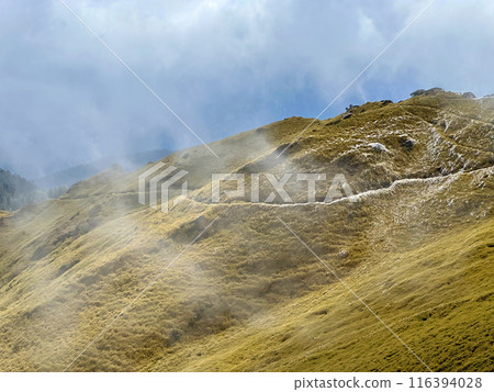 合歡山，高山步道，霜，高山，台灣，Hehuan Mountain、高山トレイル、フロスト、高山、台湾 116394028