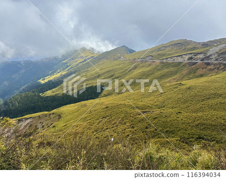 合歡山，高山步道，霜，高山，台灣，Hehuan Mountain、高山トレイル、フロスト、高山、台湾 116394034
