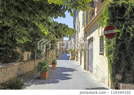 Impression of the old town of the Italian city of Bracciano Impression of the old town of the Italian city of Bracciano 116394102