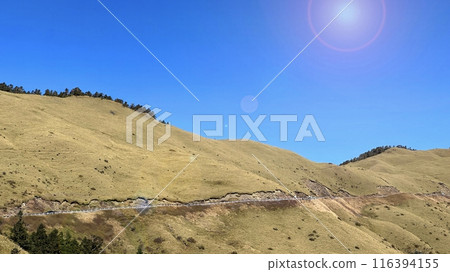合歡山，高山步道，霜，高山，台灣，Hehuan Mountain、高山トレイル、フロスト、高山、台湾 116394155