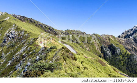 Hehuan Mountain, Alpine Trail, Frost, Alpine, Taiwan, Hehuan Mountain 116394160