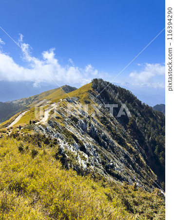 Hehuan Mountain, Alpine Trail, Frost, Alpine, Taiwan, Hehuan Mountain, Alpine Trail, High Mountain, Taiwan Hehuan Mountain, Alpine Trail, Frost, Alpine, Taiwan, Hehuan Mountain, Alpine Trail, High Mountain, Taiwan 116394290