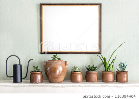 Mock up photo frame and variety of succulent home plants on a white shelf 116394404
