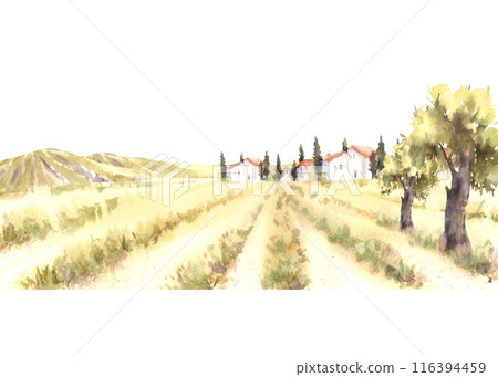 Landscape with orchards field, houses, trees, bushes and mountains and hills. Watercolor rural scene, countryside, nature of Tuscany. Hand draw illustration on white background for card, poster, label Landscape with orchards field, houses, trees, bushes and mountains and hills. Watercolor rural scene, countryside, nature of Tuscany. Hand draw illustration on white background for card, poster, label 116394459
