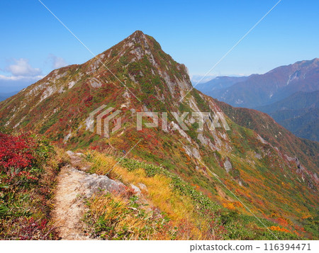 秋天的谷川山脈/大元太山 秋天的谷川山脈/大元太山 116394471