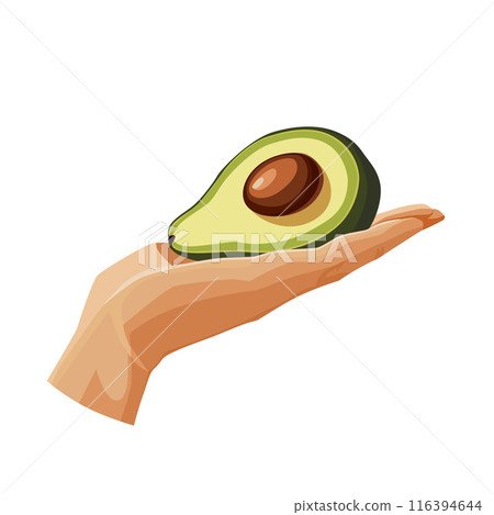 green avocado in the palm isolated on white background. Vector clipart in flat style for design green avocado in the palm isolated on white background. Vector clipart in flat style for design 116394644