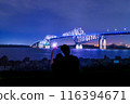 七夕天空下的東京門大橋 116394671