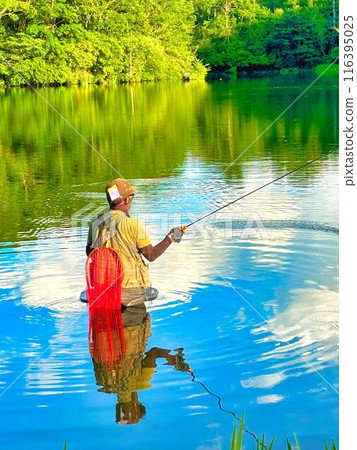 A man fishing among the fresh greenery A man fishing among the fresh greenery 116395025